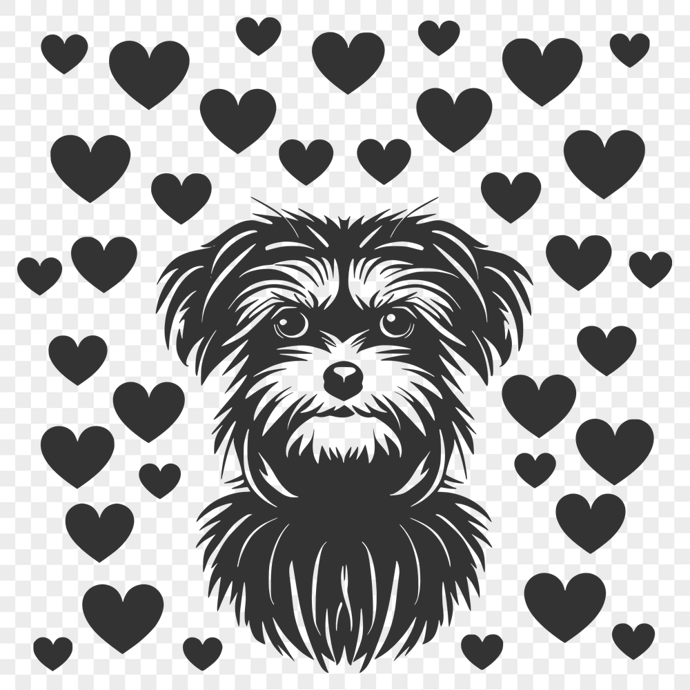 Creative Havanese Illustration