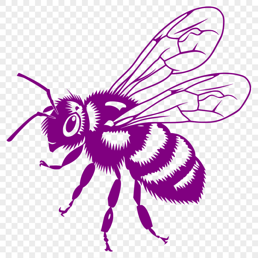 Creative Bee SVG