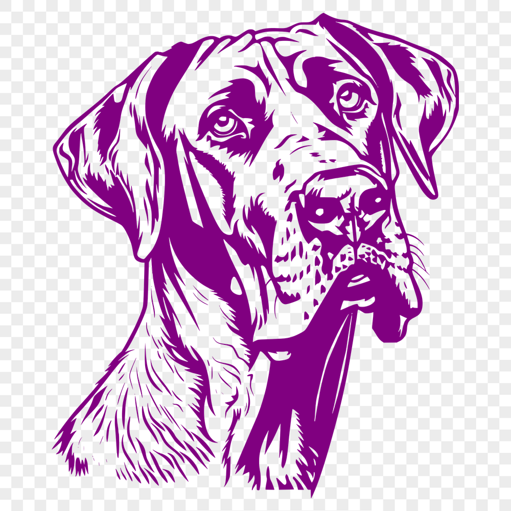 Free Free Great Dane Vector Illustration