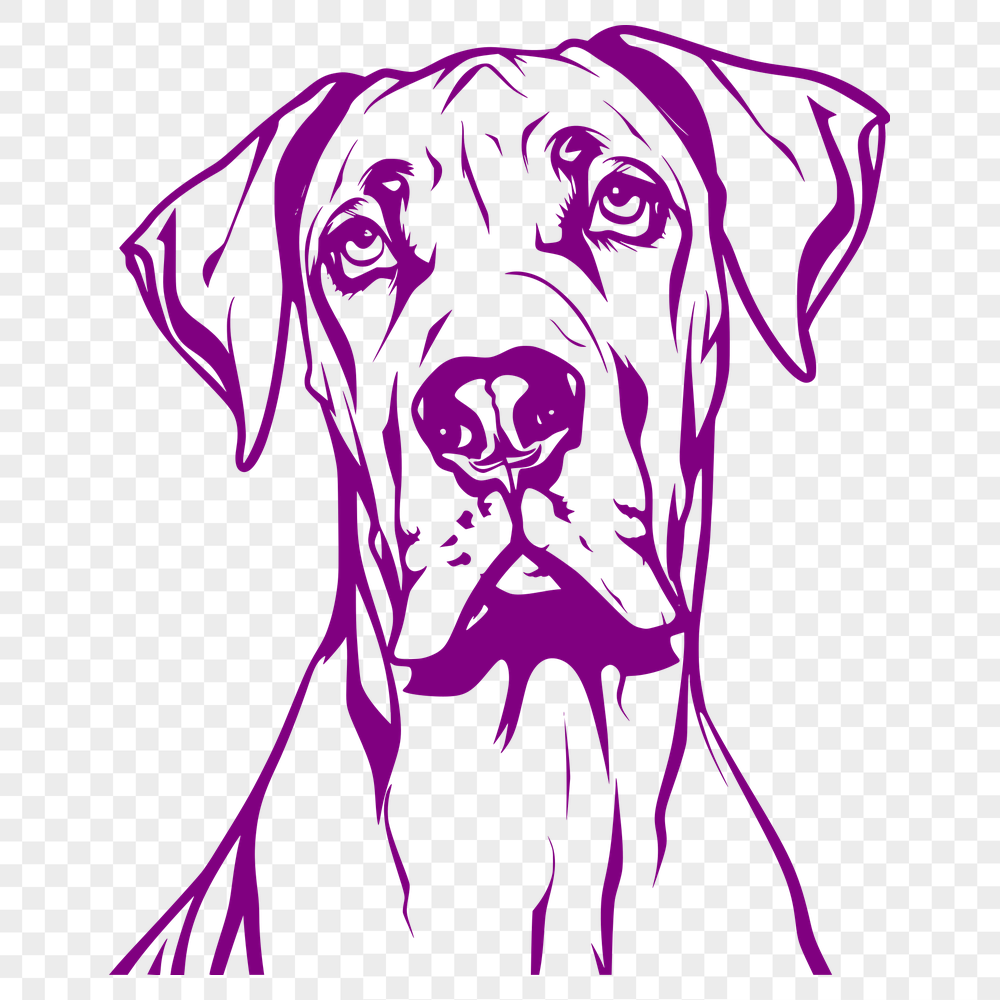 Free Creative Great Dane Image