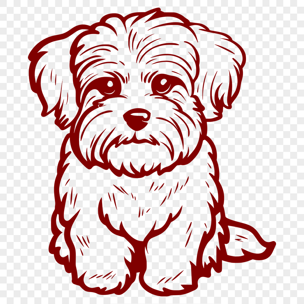 Stunning Sitting Havanese Vector Craft File