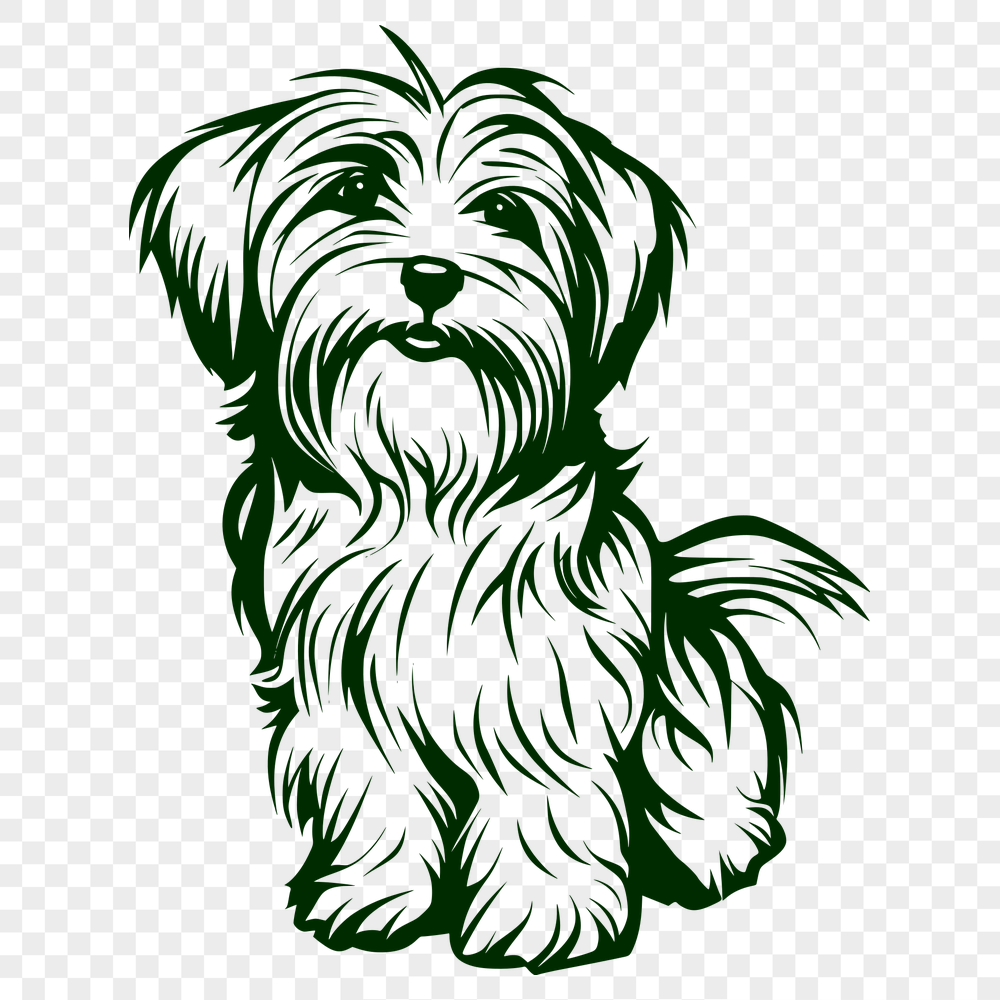 Unique Havanese Vector Image