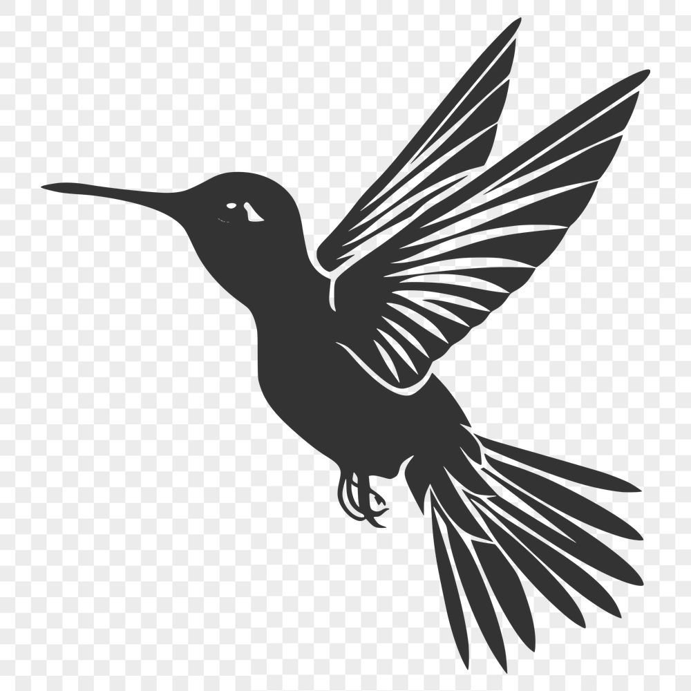 Creative Bird - Laser PNG