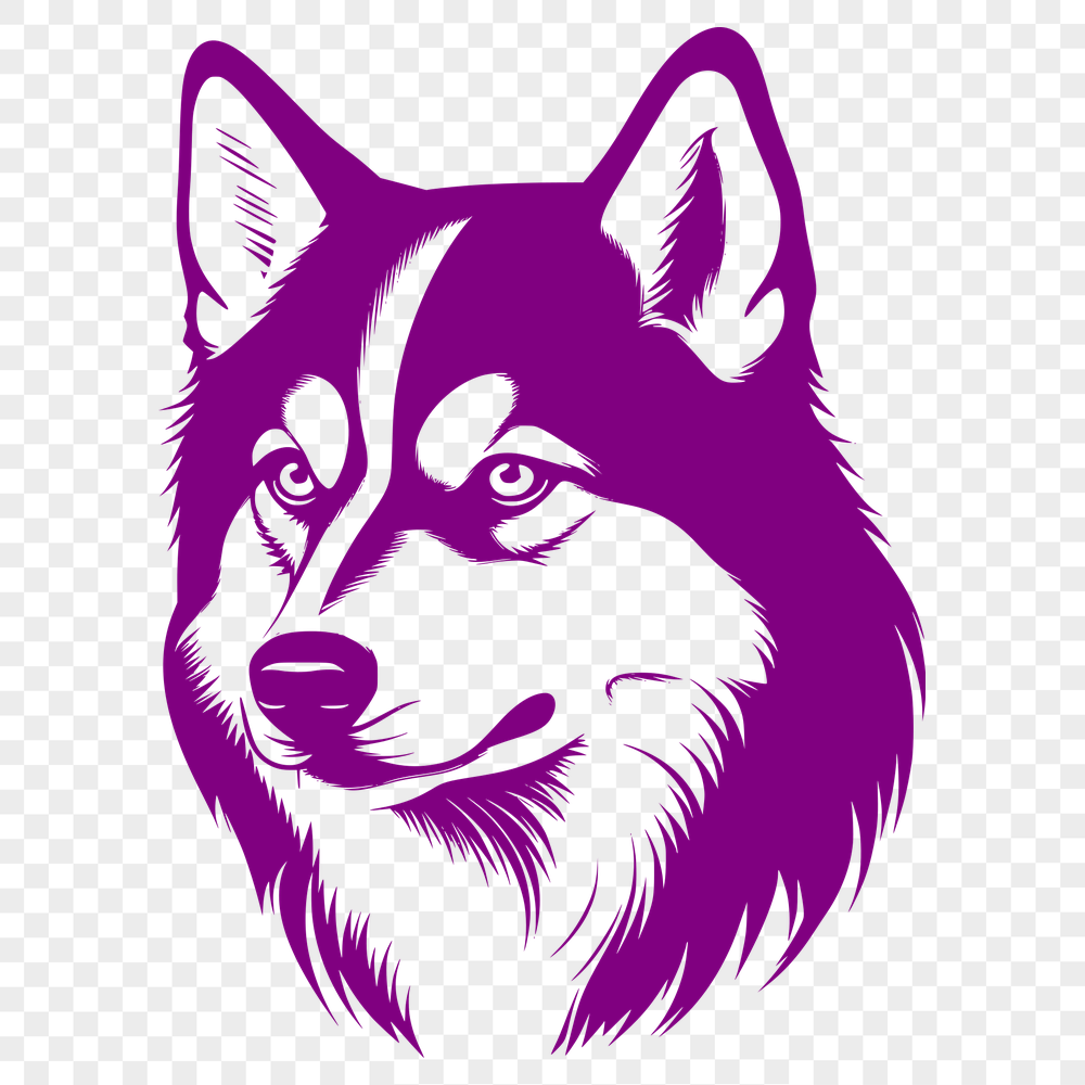 Free Free Husky Drawing