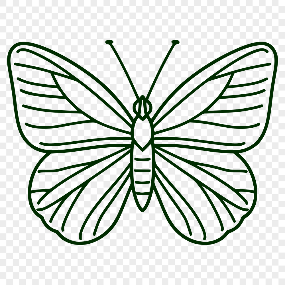 Artistic Insect PNG