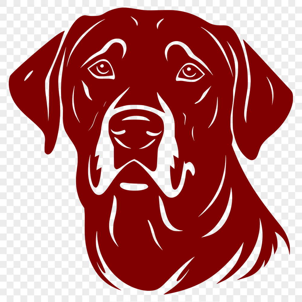 Free Free Labrador Retriever Drawing