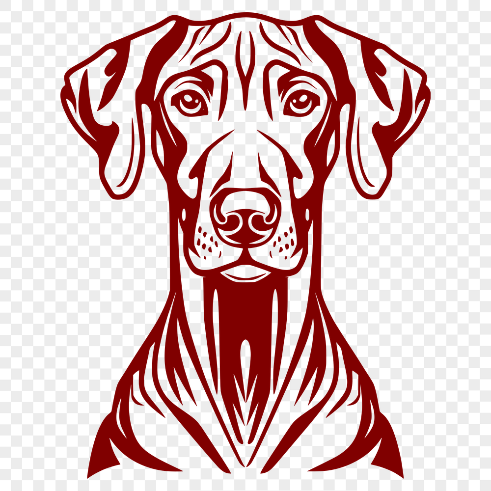 Unique Doberman Pinscher Illustration