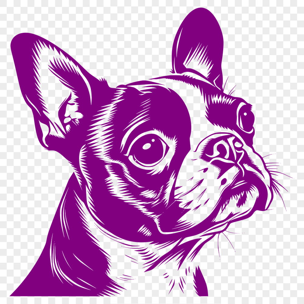 Stunning Dog - Sublimation PNG