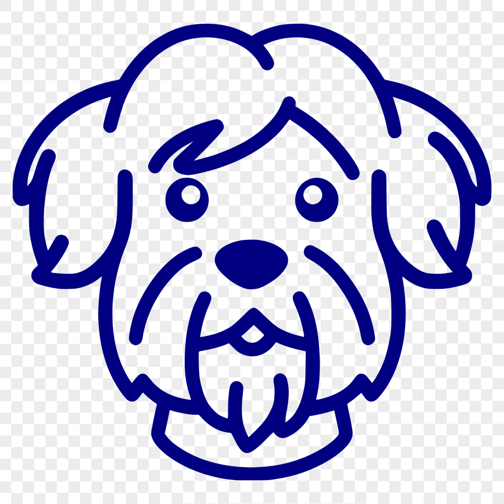 Free Havanese Vector Illustration