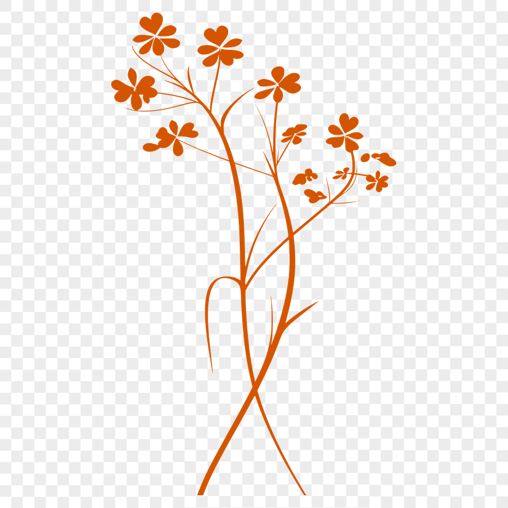 Beautiful Flower Stencil In PNG For Free Download