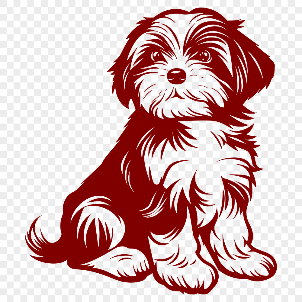 Free Beautiful Havanese Vector Illustration