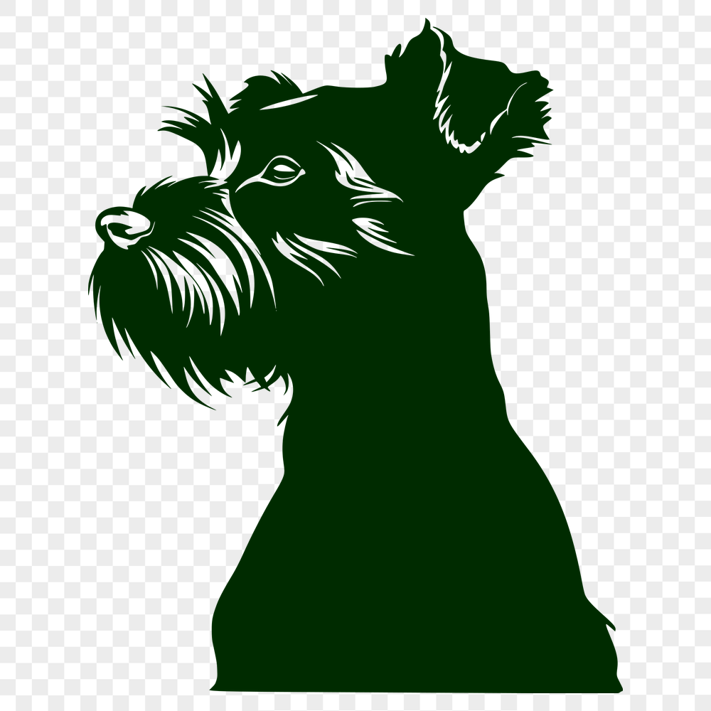 Free Creative Miniature Schnauzer Vector Art