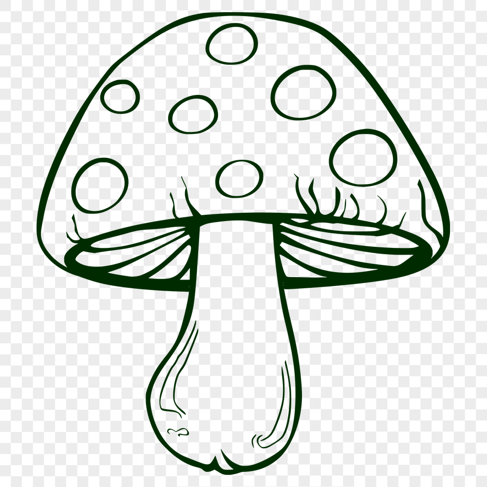 Creative Mushroom PNG