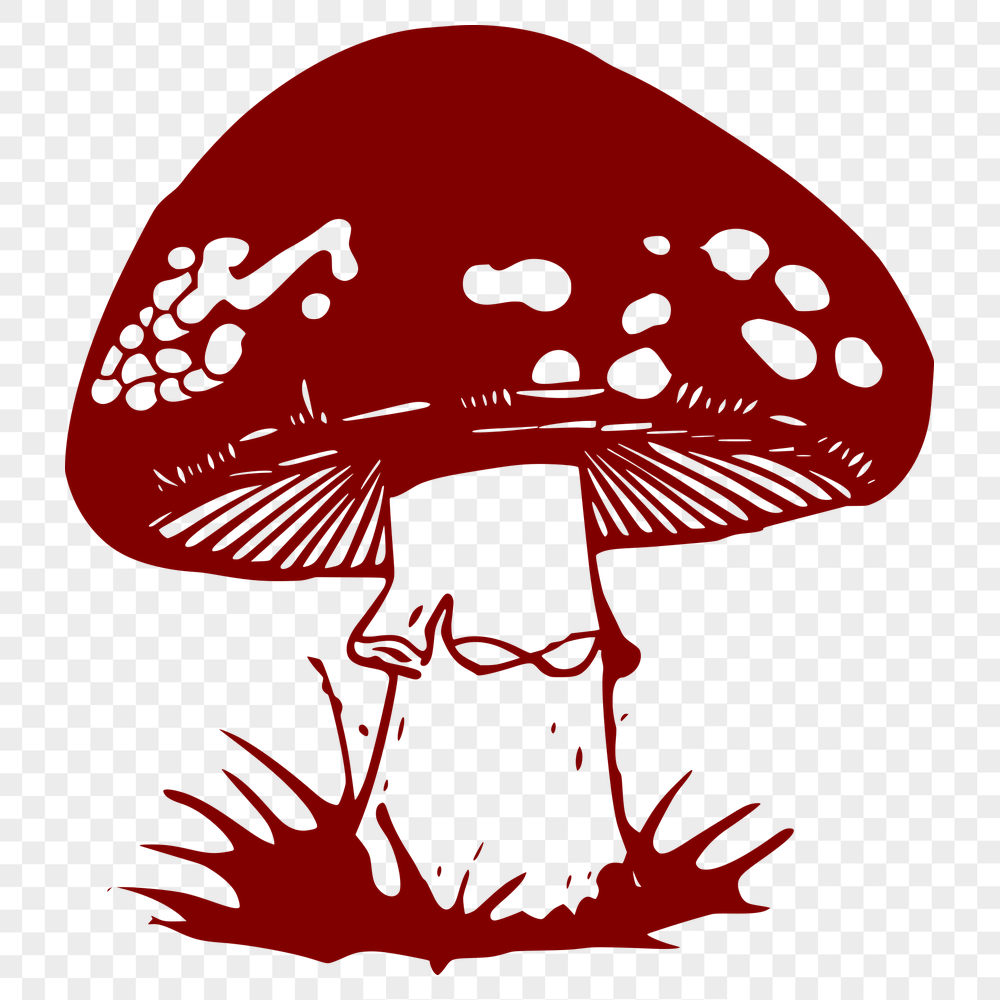 Stunning Mushroom Clip Art