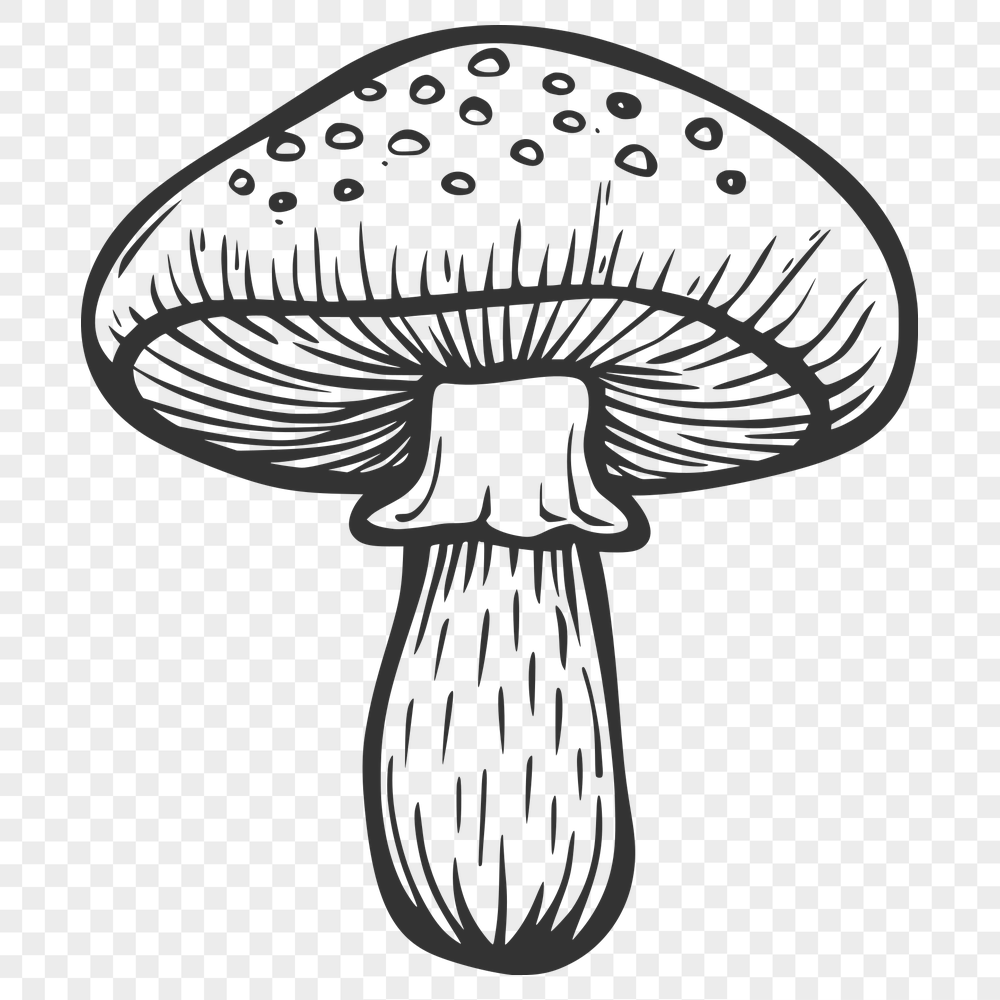 Unique Mushroom Vector Image