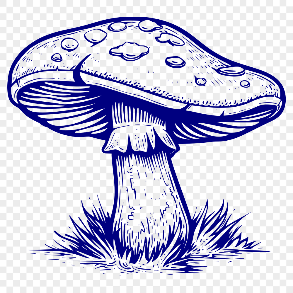 Stunning Mushroom Illustration