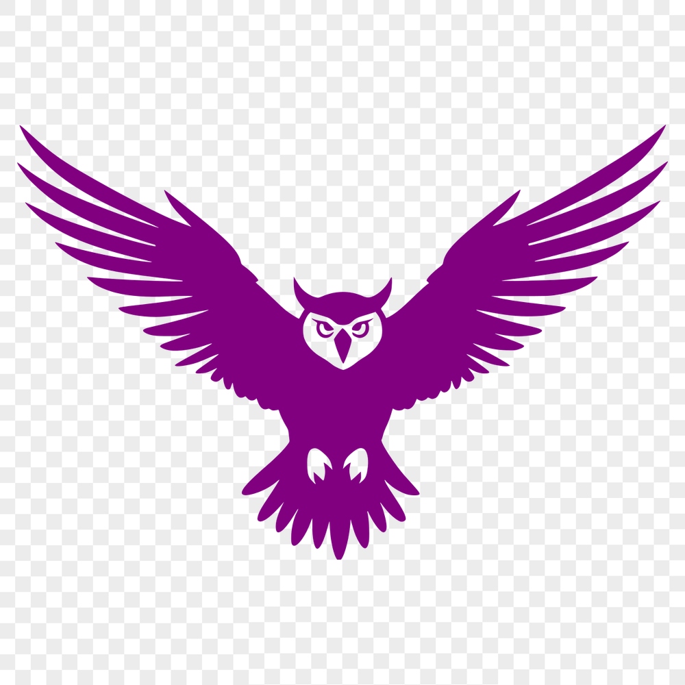 Flying Owl Template