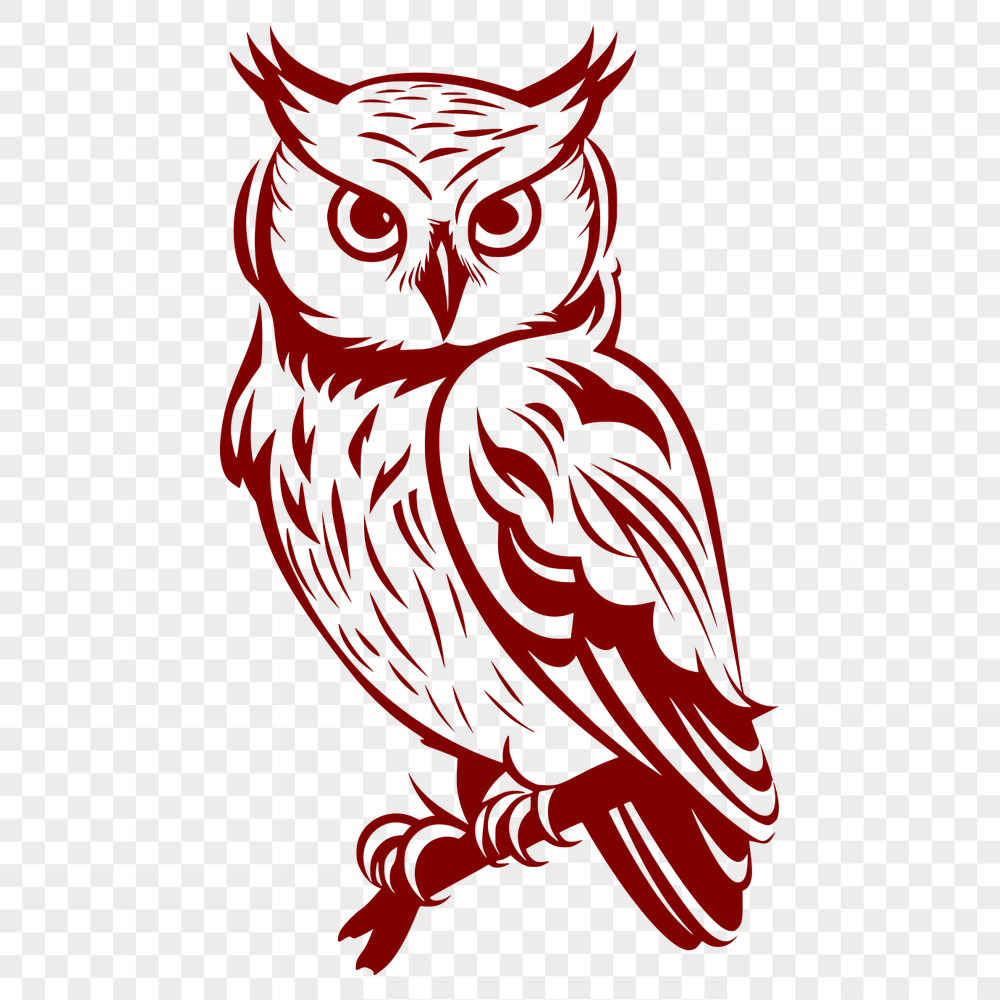 Unique Perched Owl PDF