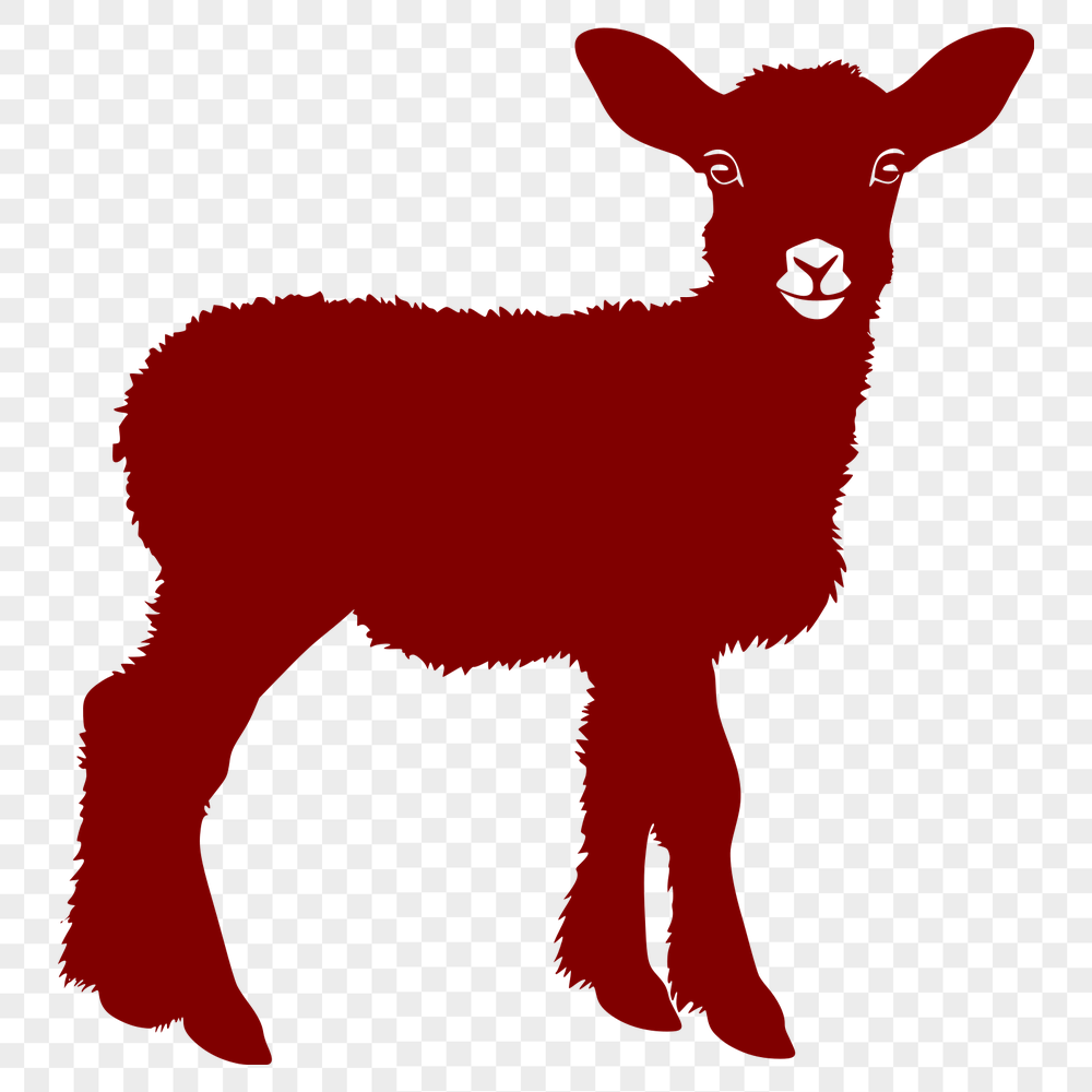 Free Unique Lamb Vector Image