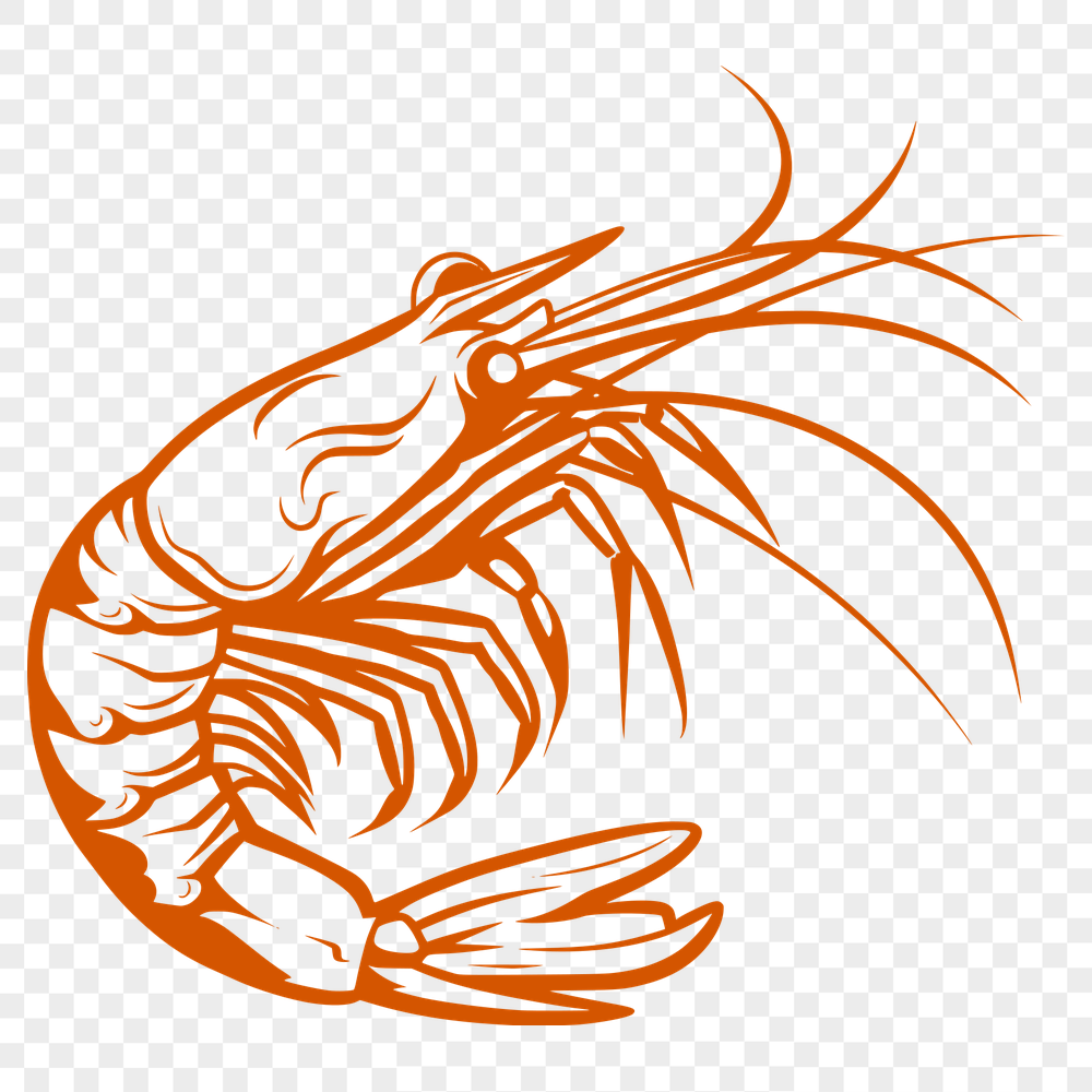 Free Unique Shrimp Digital Artwork