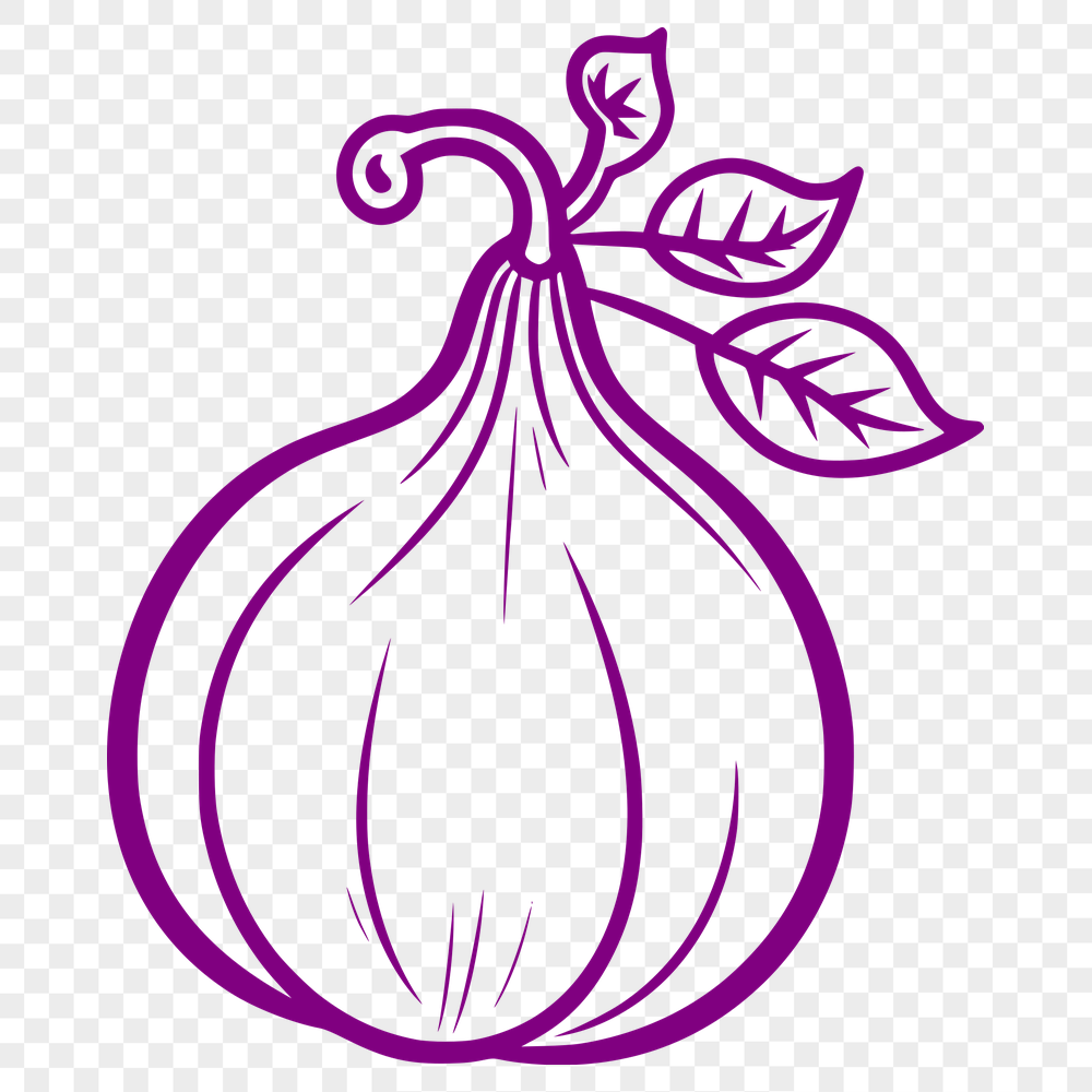 Free Unique Squash Vector Image