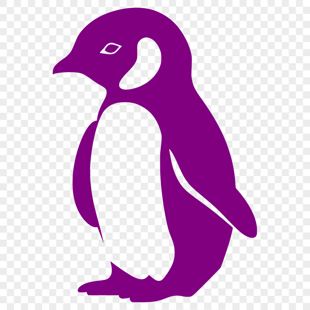 Beautiful Penguin - For Laser Project