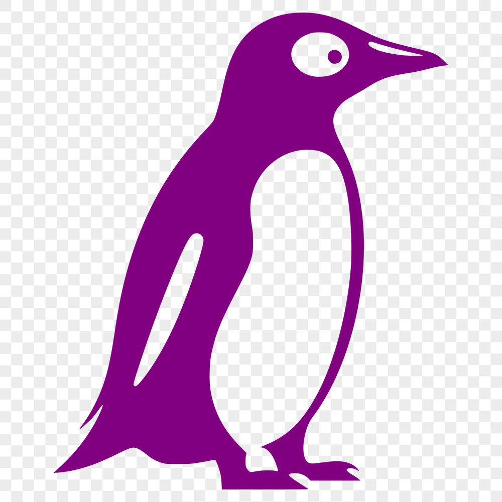 Beautiful Penguin - For Vinyl Project