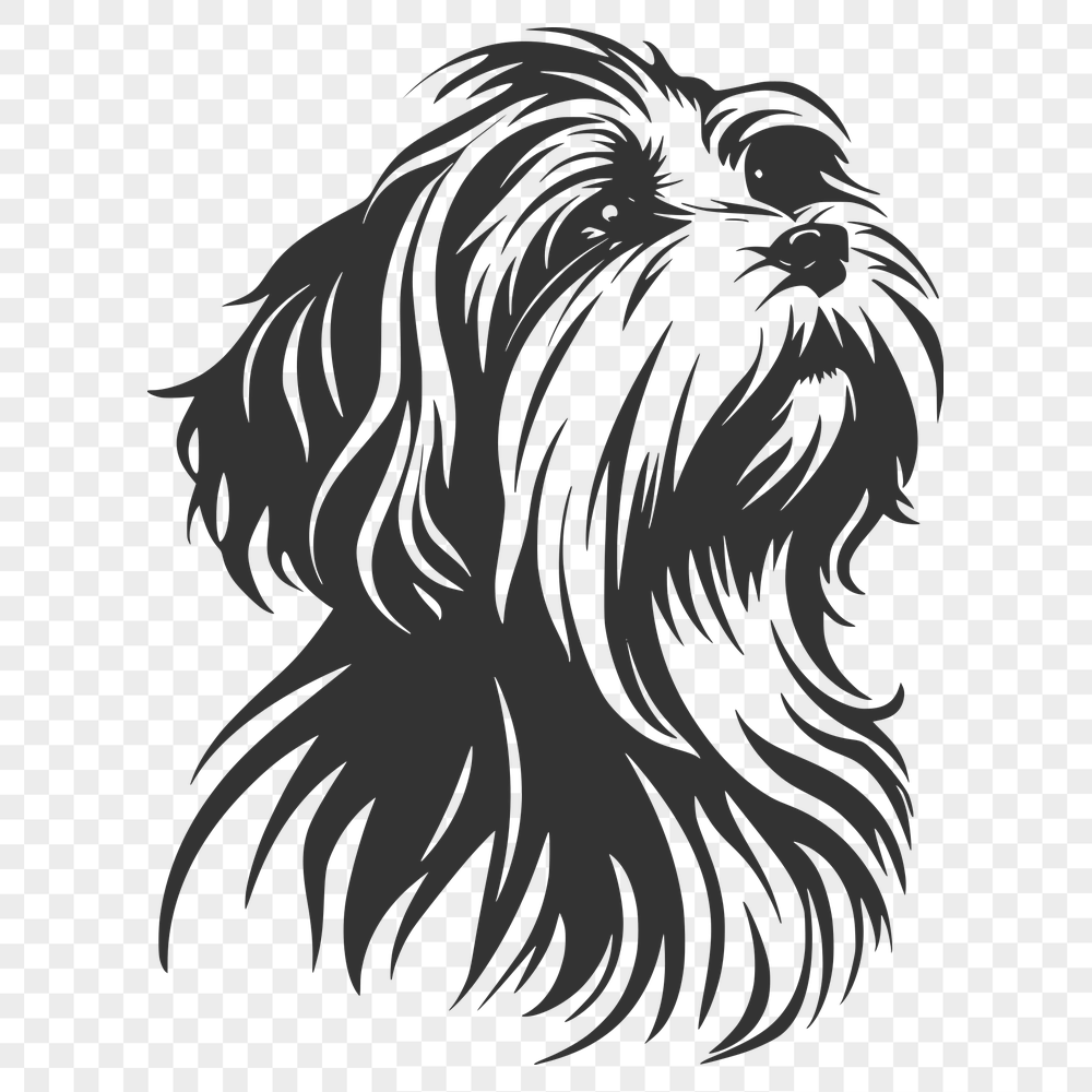 Free Havanese - For Pet Project