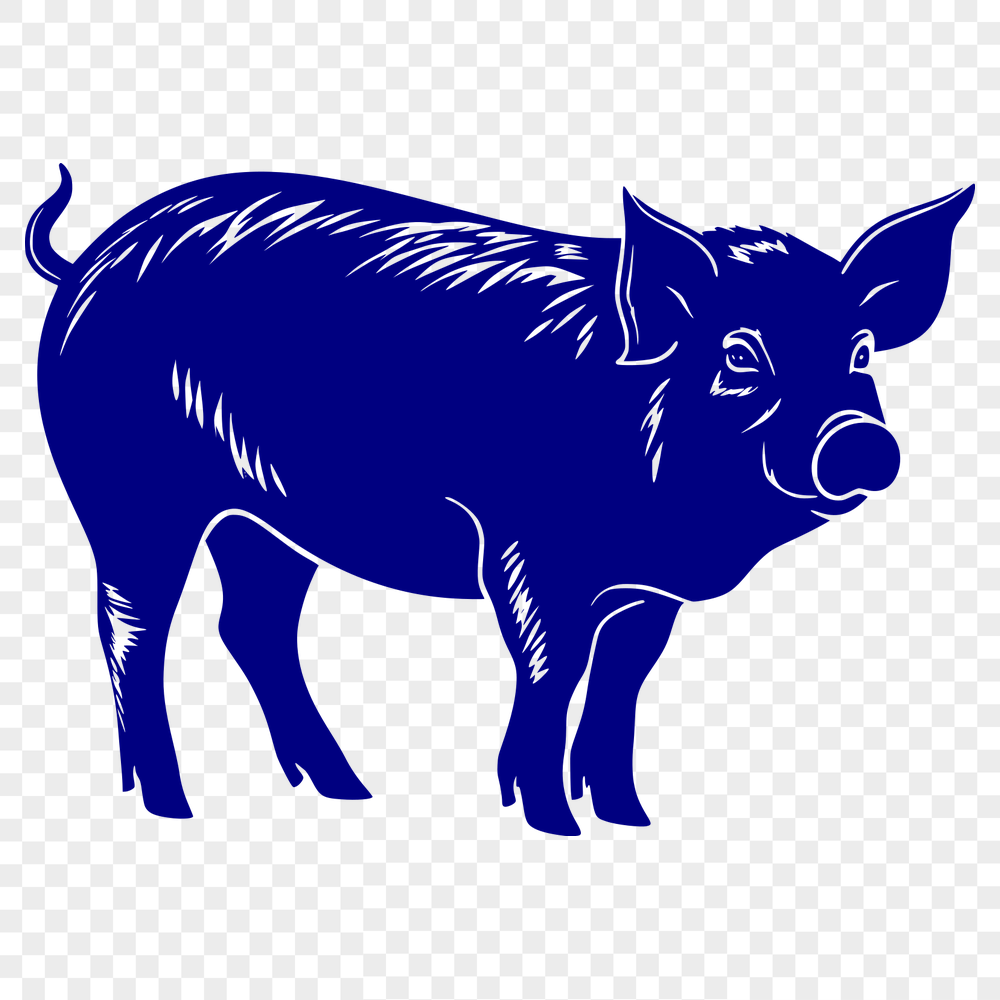 Stunning Pig Illustration