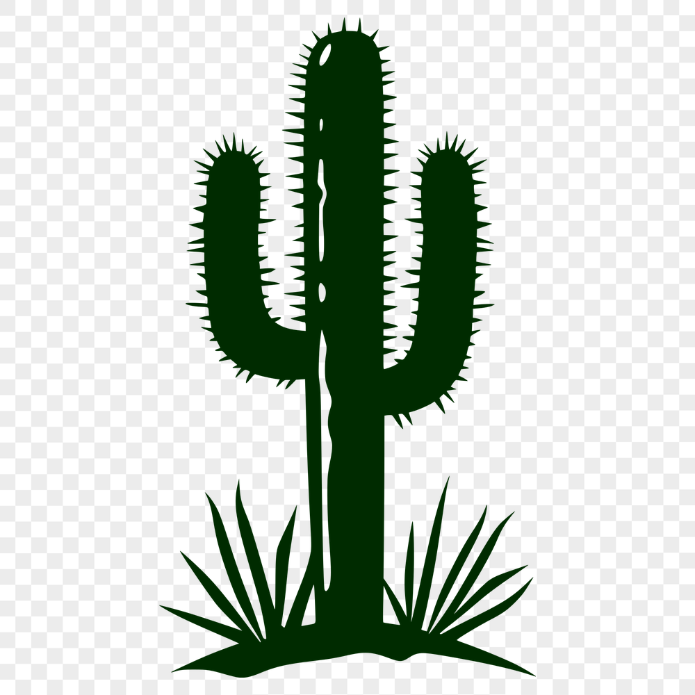 Free Unique Cactus Image