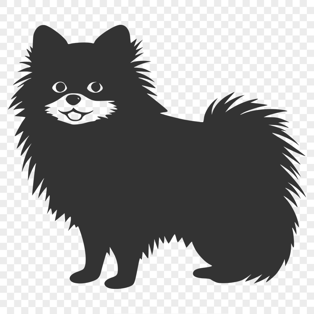 Standing Pomeranian Drawing