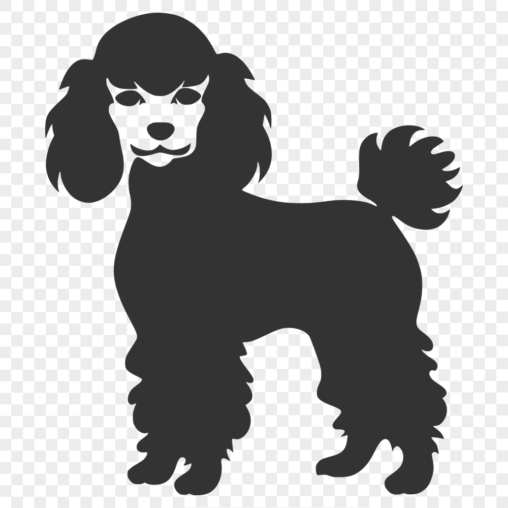 Unique Poodle Vector Image