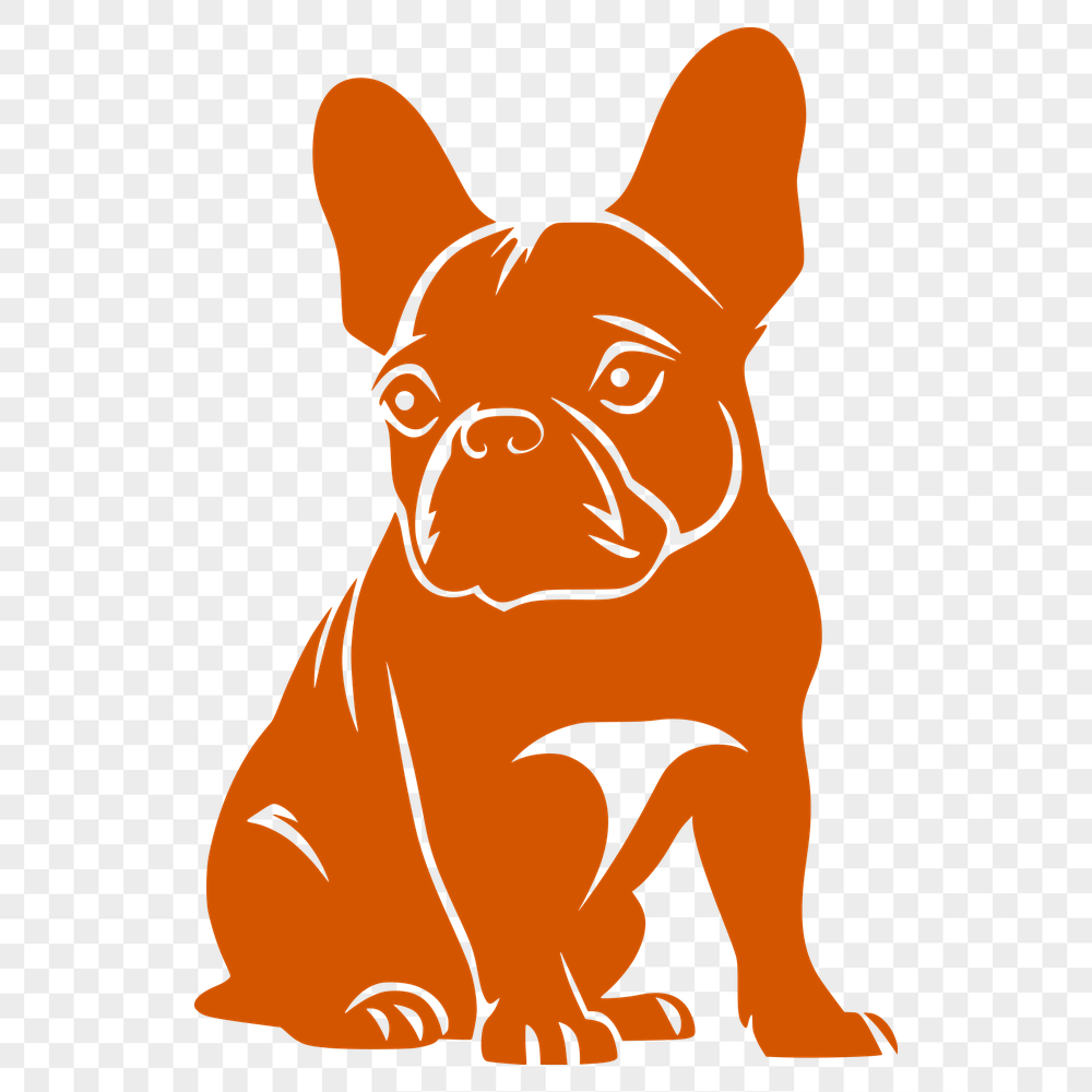 Stunning French Bulldog - For Animal Project