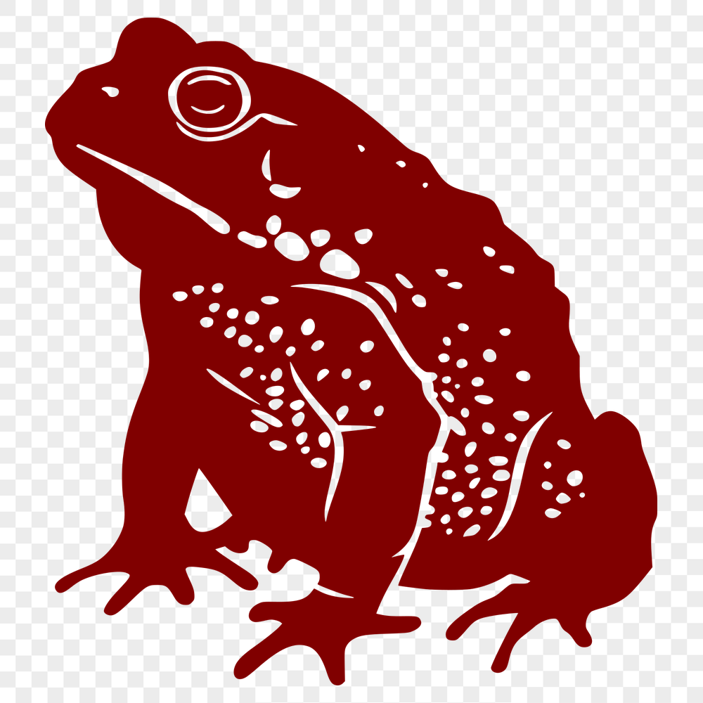 Free Creative Toad Image