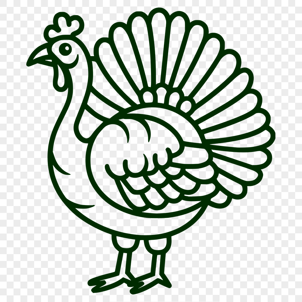 Free Beautiful Turkey Digital Drawing