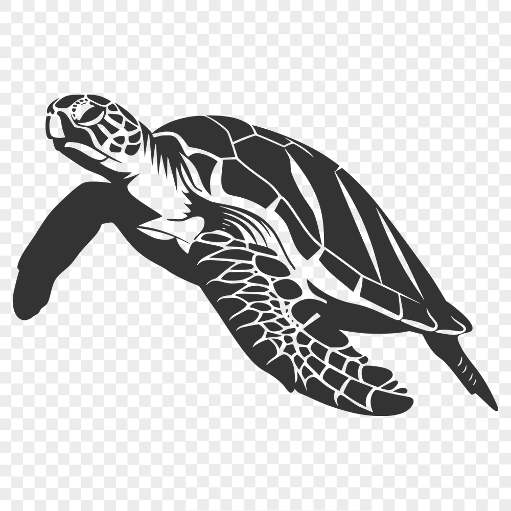 Beautiful Sea Turtle Artwork