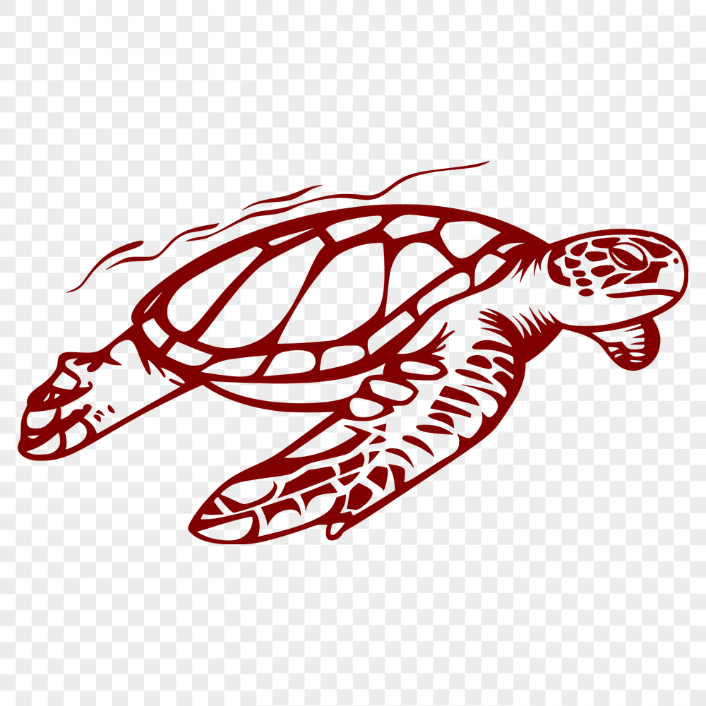 Unique Sea Turtle - For Sea Creature Project