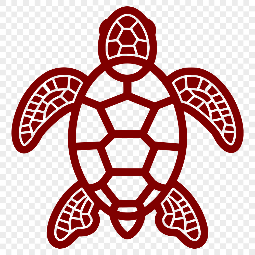 Beautiful Sea Turtle Vector Illustration