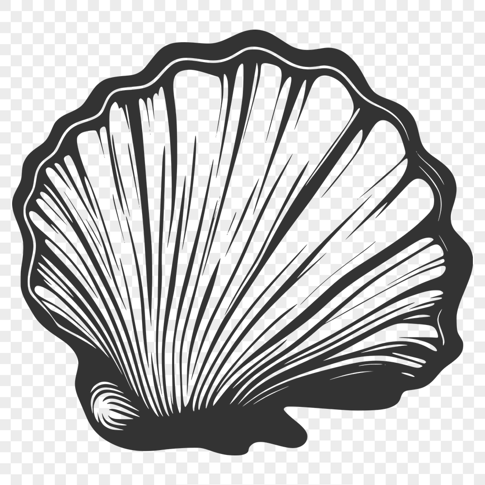 Seashell Illustration In PNG & SVG - Free Digital Download