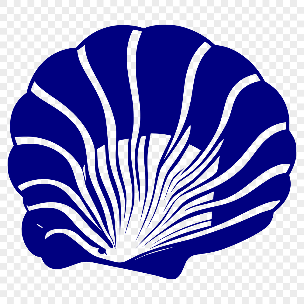 Unique Seashell In DXF Format - Free Download