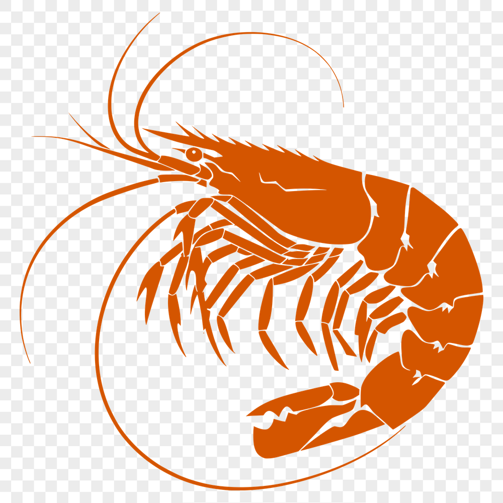 Stunning Shrimp Decal