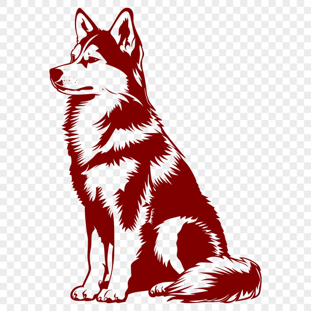 Beautiful Sitting Husky PNG