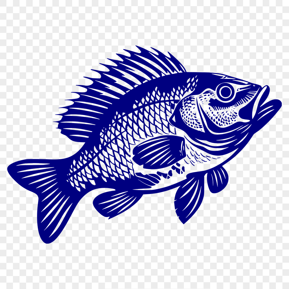 Stunning Fish Vector Art