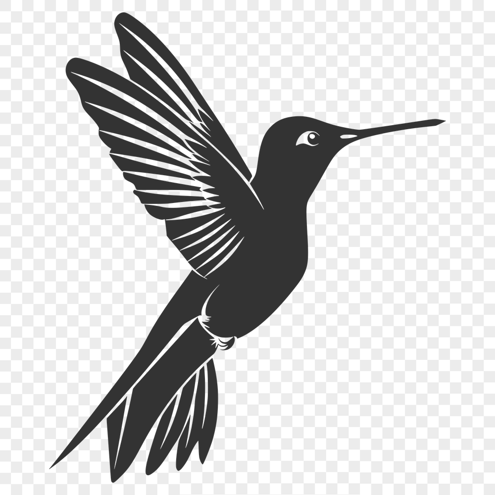 Stunning Flying Hummingbird Stencil