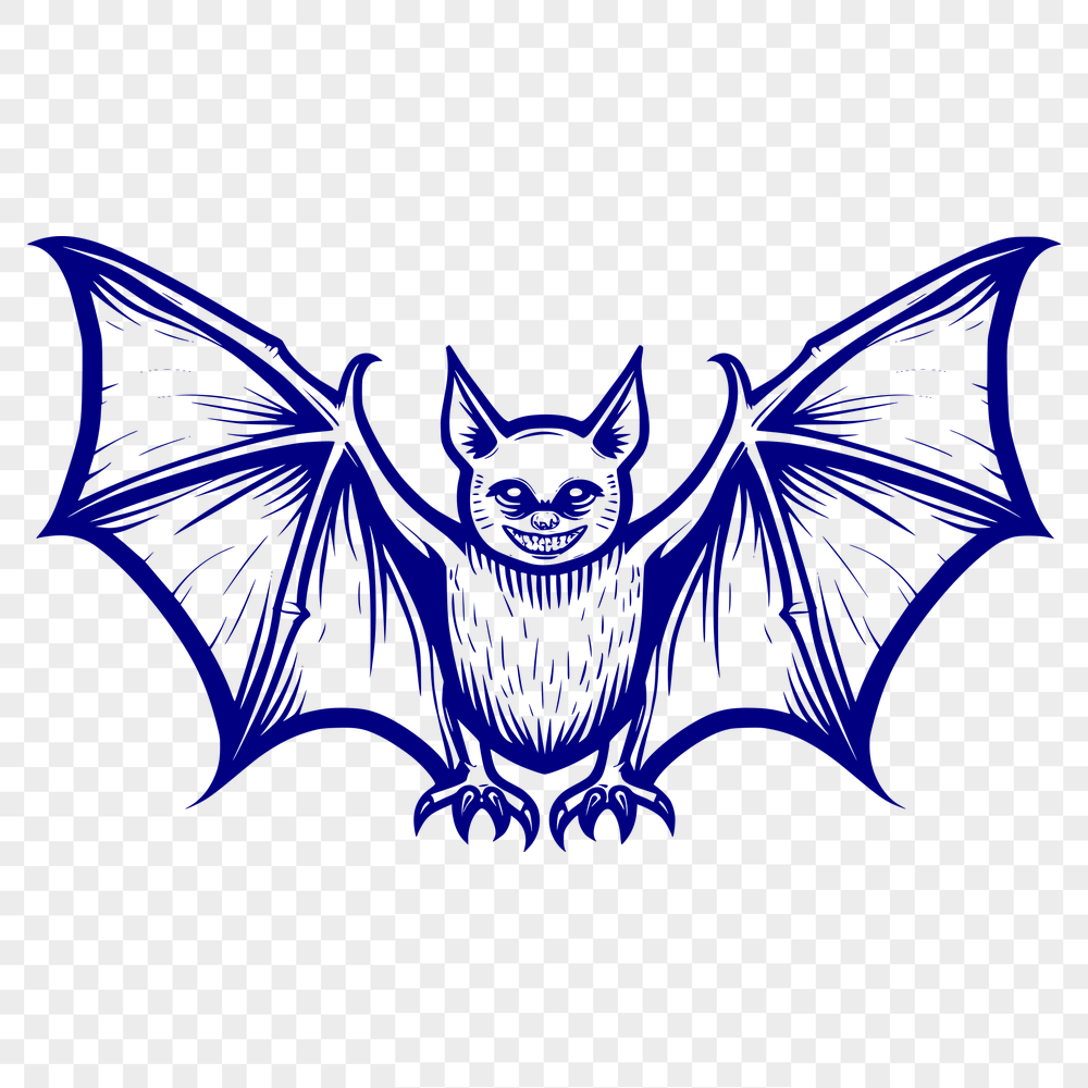 Beautiful Bat Vector Image