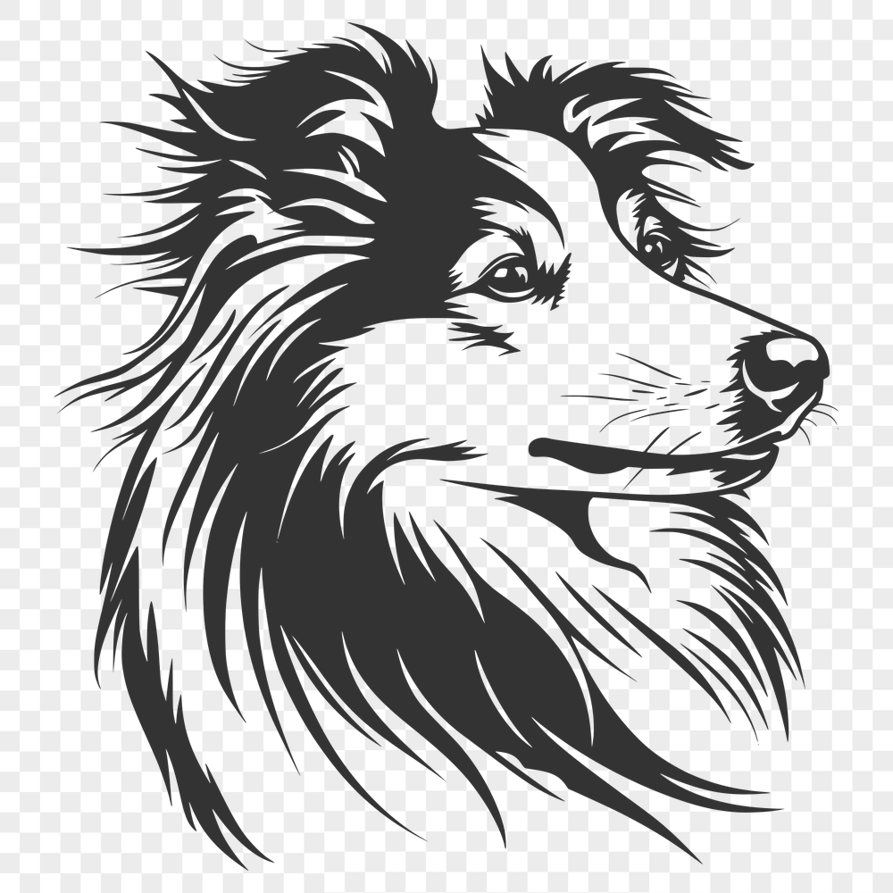 Creative Shetland Sheepdog Vector Illustration