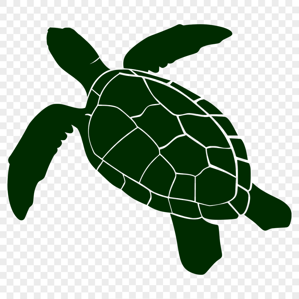 Free Sea Turtle Illustration