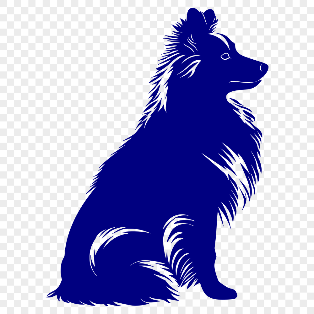 Unique Shetland Sheepdog Drawing