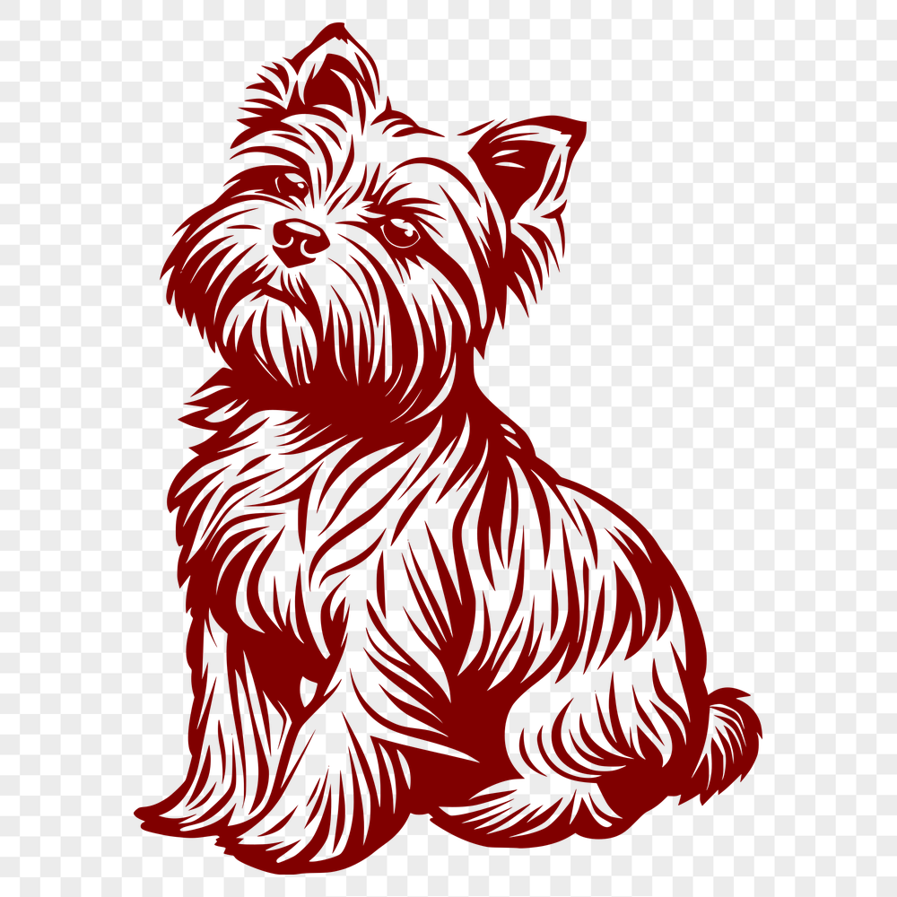 Beautiful Sitting Yorkshire Terrier PDF