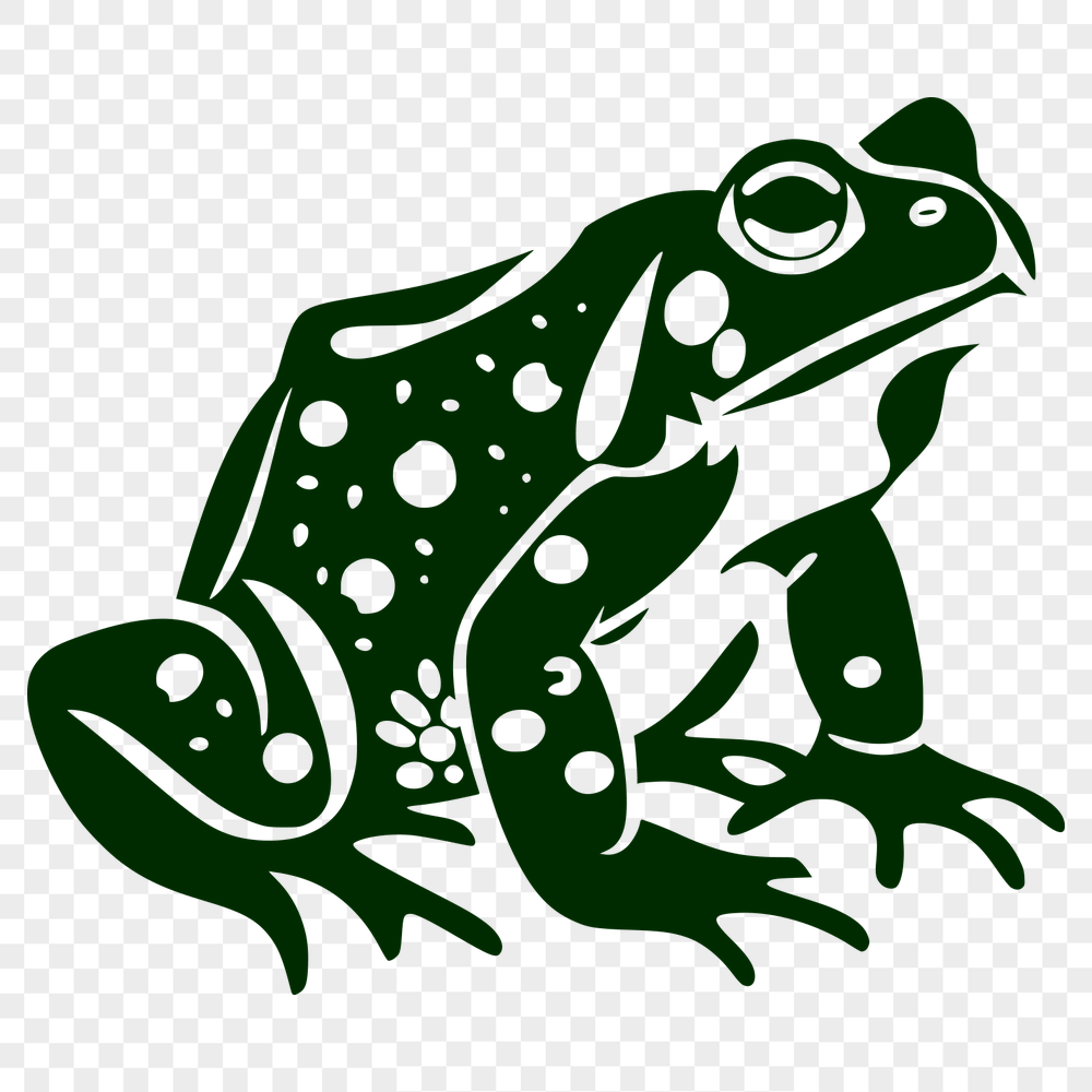 Beautiful Toad Illustration